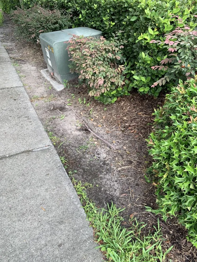 Affordable landscape installation in Carson City, NV - Carson City Lawn and Landscaping