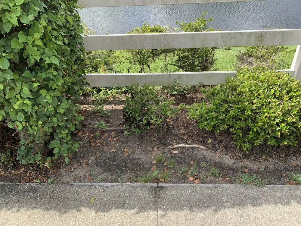 Custom yard maintenance experts serving Carson City, NV - Carson City Lawn and Landscaping