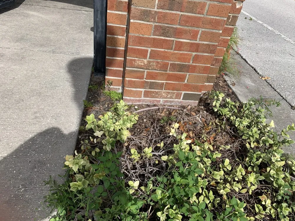 Affordable residential landscaping in Carson City, NV - Carson City Lawn and Landscaping