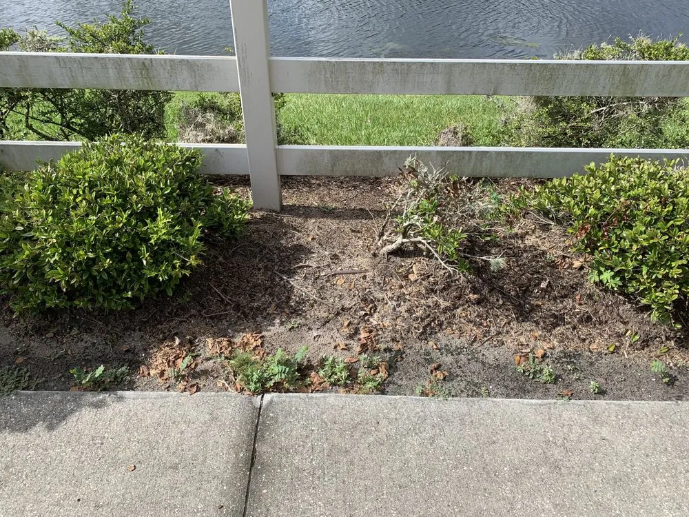 Professional landscape installation for beautiful yards across Carson City, NV - Carson City Lawn and Landscaping