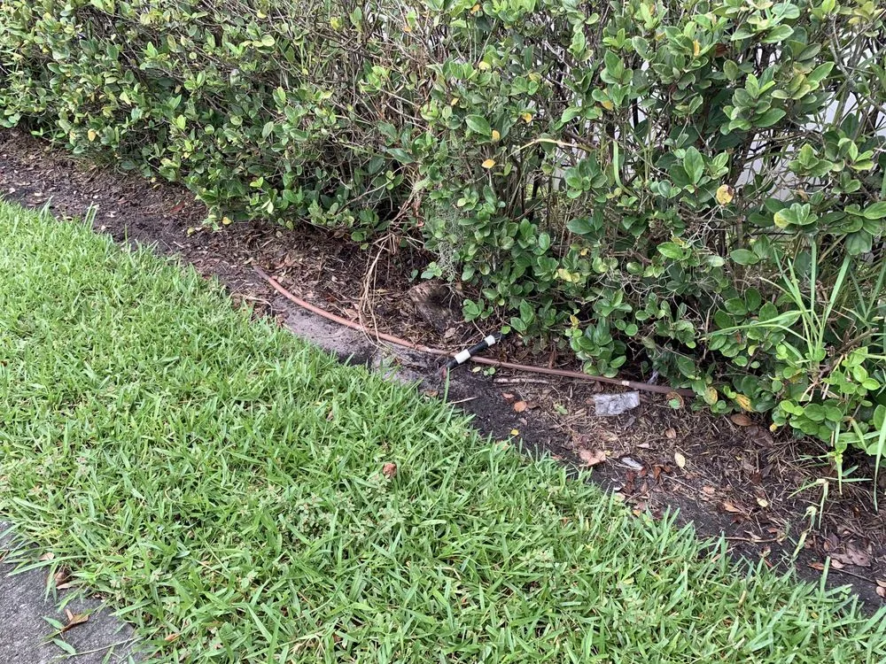 Local yard cleanup service for year-round maintenance in Carson City, NV by Carson City Lawn and Landscaping