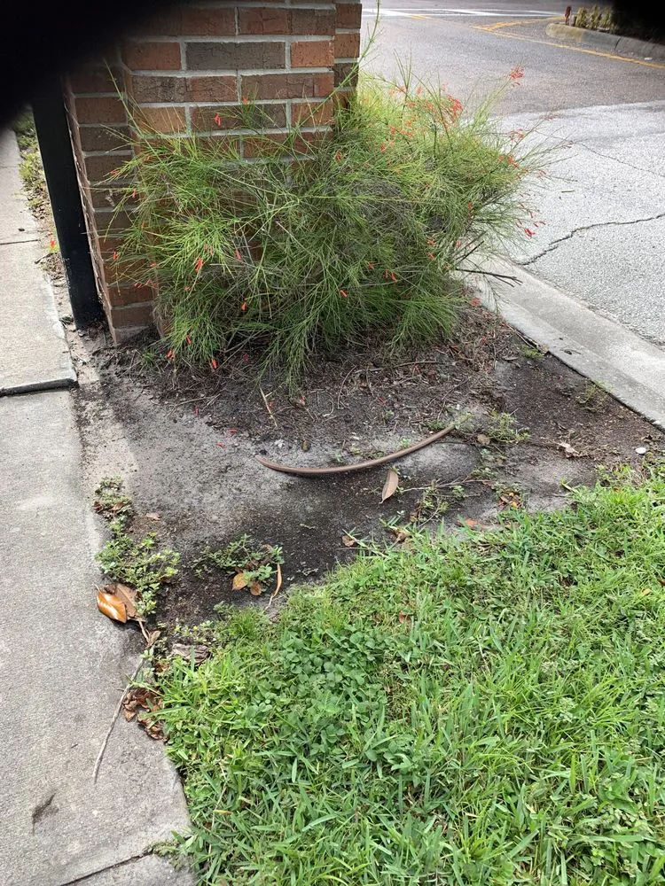 Affordable garden landscaping experts serving Carson City, NV - Carson City Lawn and Landscaping