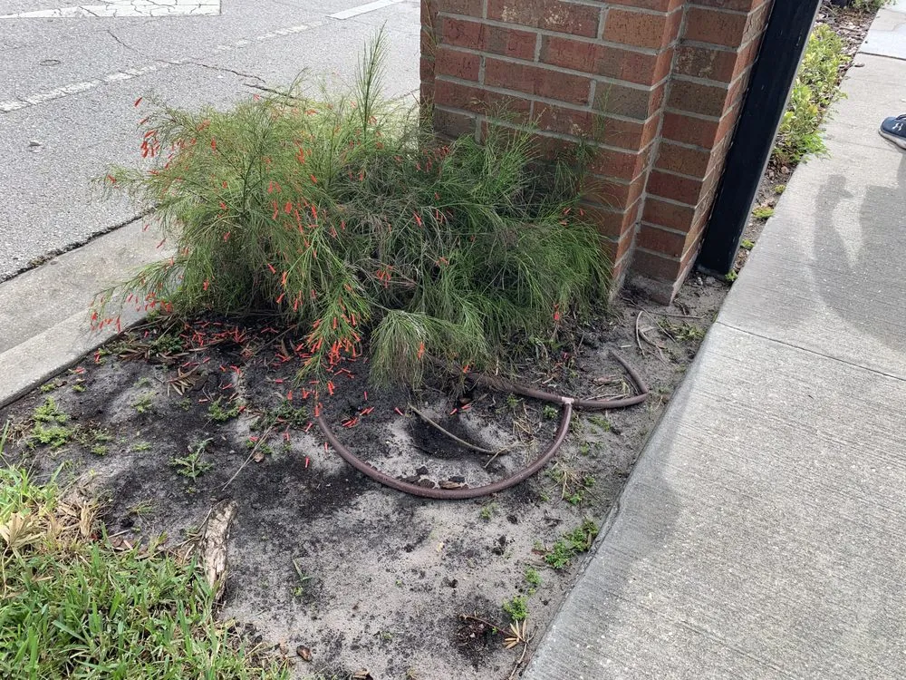 Custom landscape design experts serving Carson City, NV - Carson City Lawn and Landscaping