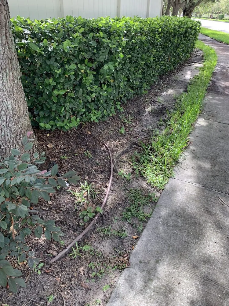 Reliable lawn mowing service in Carson City, NV by Carson City Lawn and Landscaping