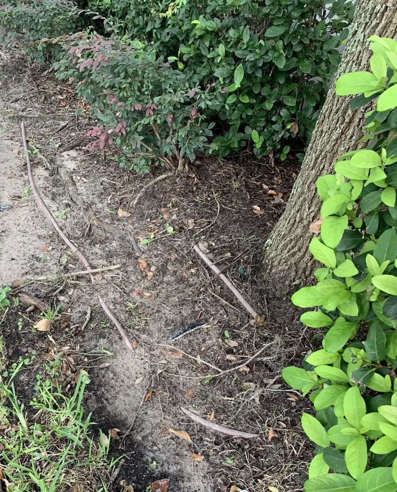 Expert lawn mowing service with custom design across Carson City, NV - Carson City Lawn and Landscaping