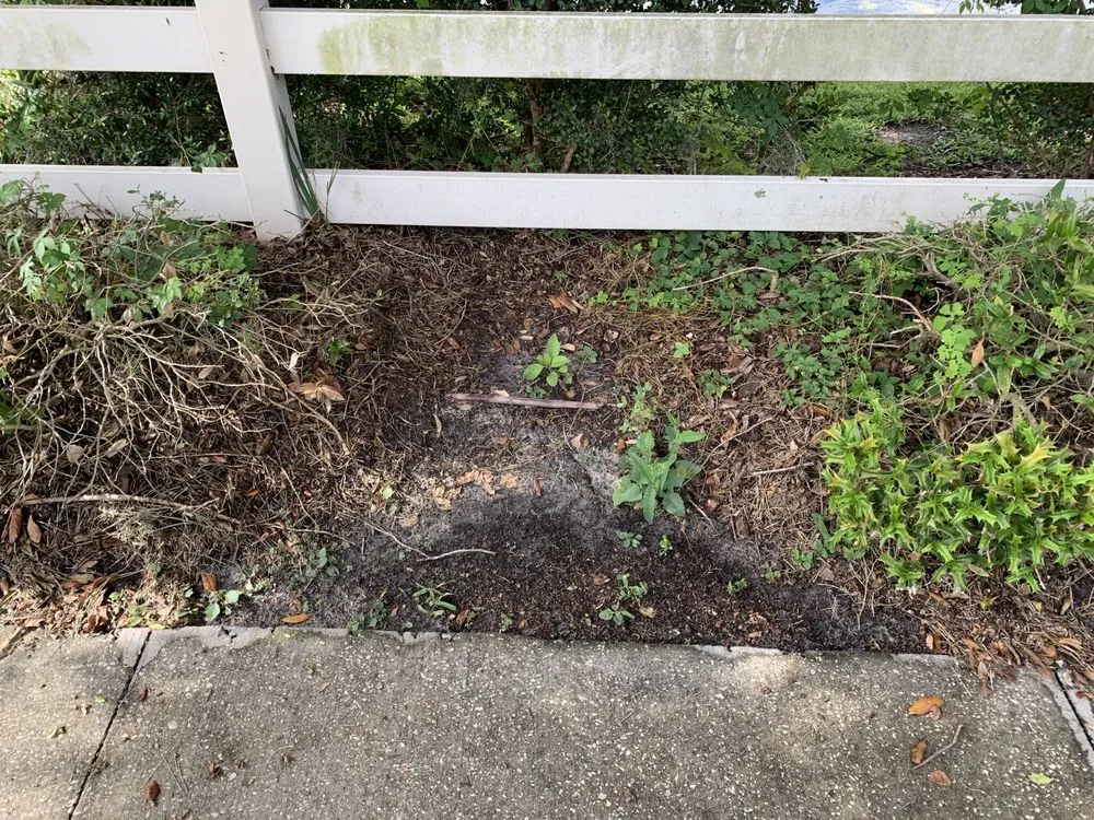 Reliable landscape installation with custom design across Carson City, NV - Carson City Lawn and Landscaping