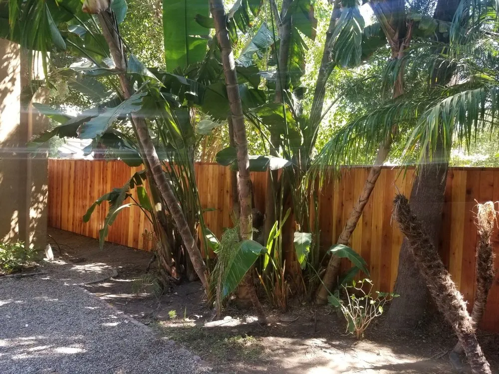 Local residential landscaping experts serving Oxnard, CA - Carson Homes