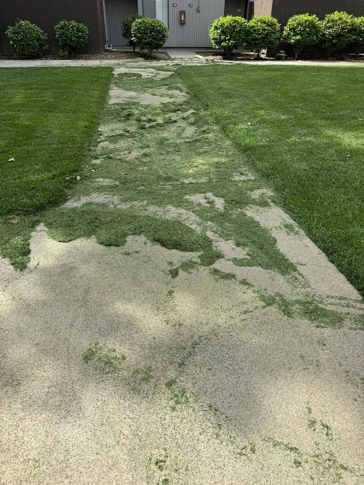 Local landscape design experts serving Sacramento, CA - Carson Landscape Industries