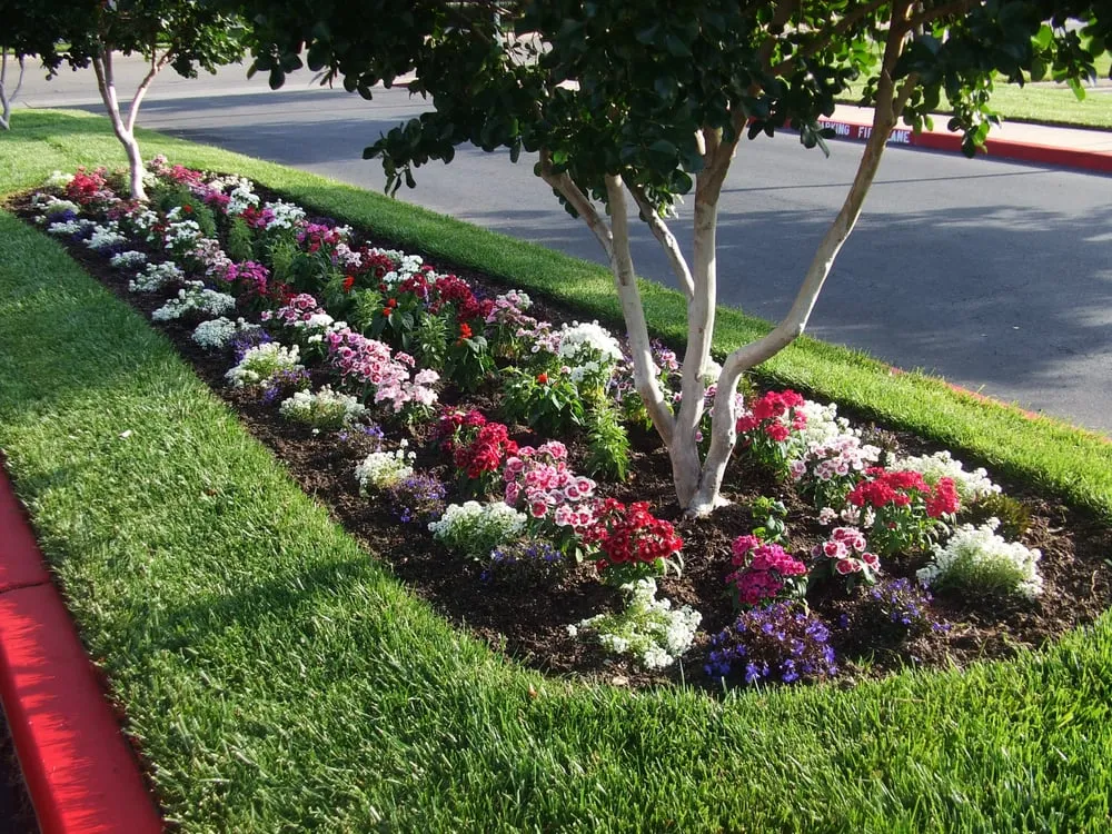 Trusted landscaping services experts serving Sacramento, CA - Carson Landscape Industries