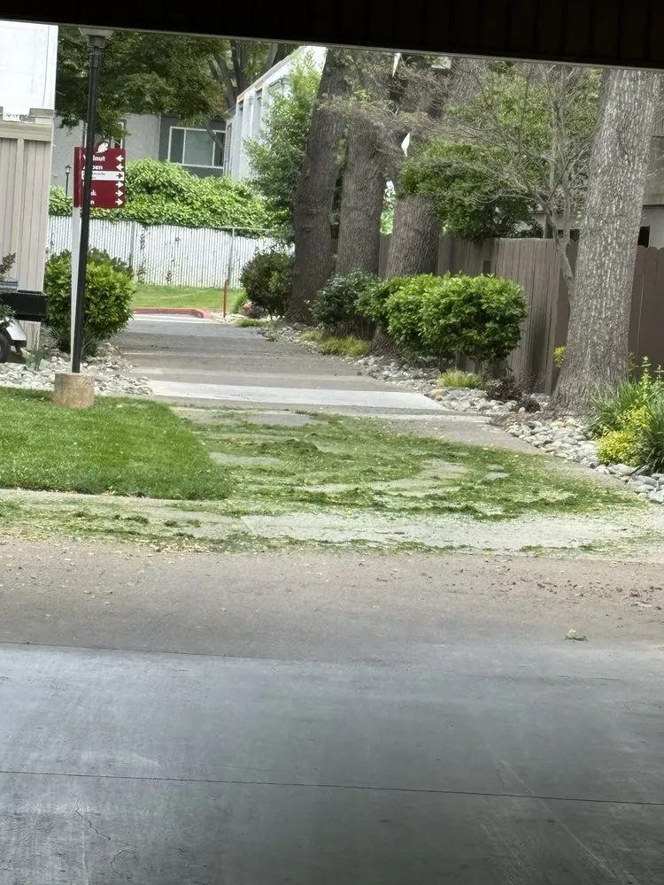 Reliable landscape design with custom design across Sacramento, CA - Carson Landscape Industries