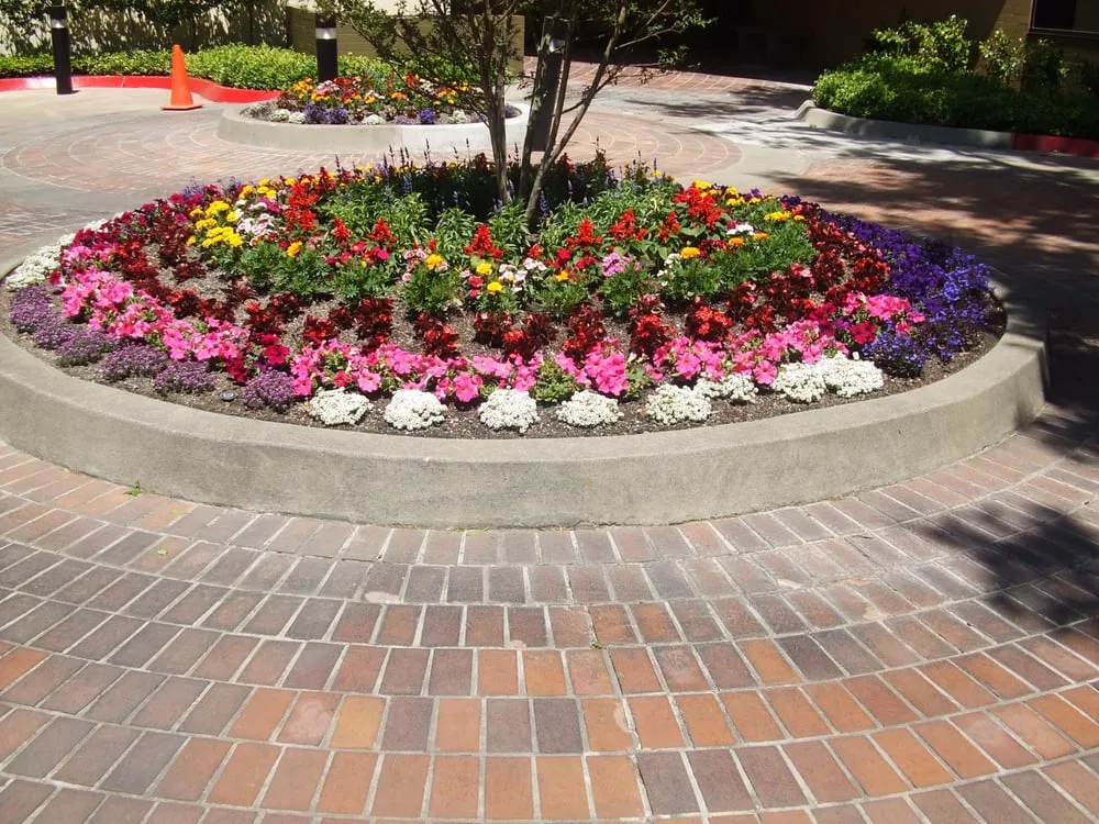 Affordable yard cleanup service for beautiful yards across Sacramento, CA - Carson Landscape Industries