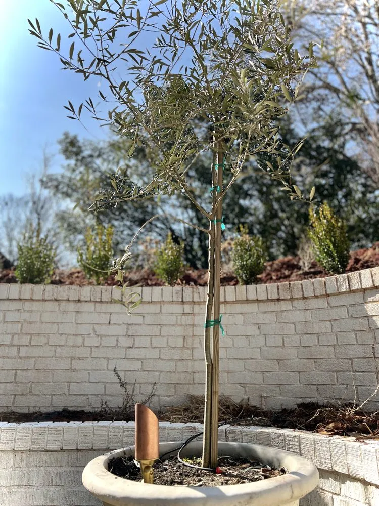 Affordable residential landscaping for beautiful yards in Simpsonville, SC by Carson R. Hardscapes