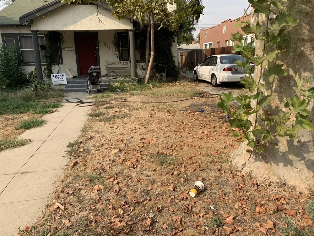 Professional garden landscaping for outdoor upgrades across Bakersfield, CA - Carson's Gardening