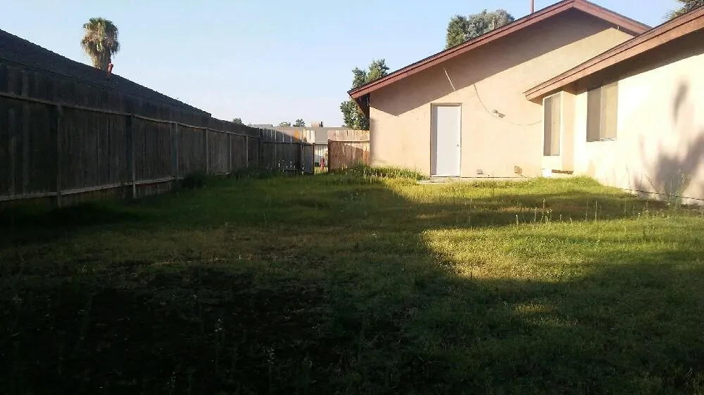 Custom yard cleanup service in Bakersfield, CA - Carson's Gardening