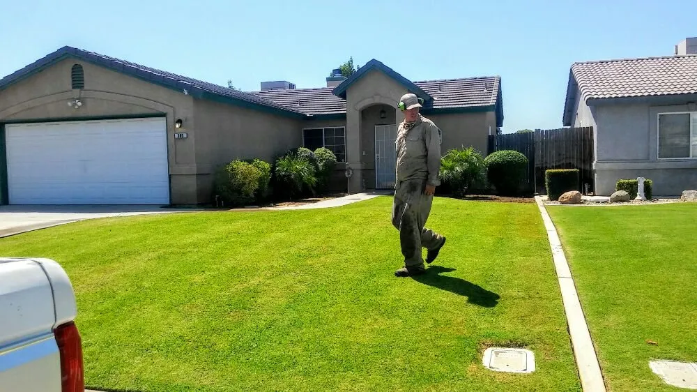 Custom yard cleanup service experts serving Bakersfield, CA - Carson's Gardening