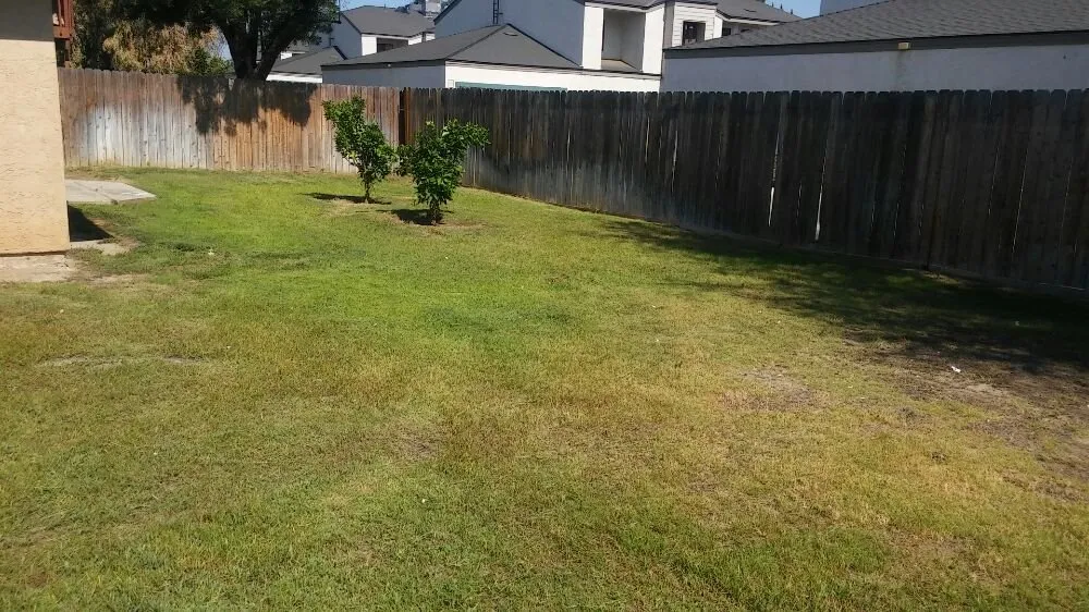 Top-rated yard maintenance in Bakersfield, CA by Carson's Gardening
