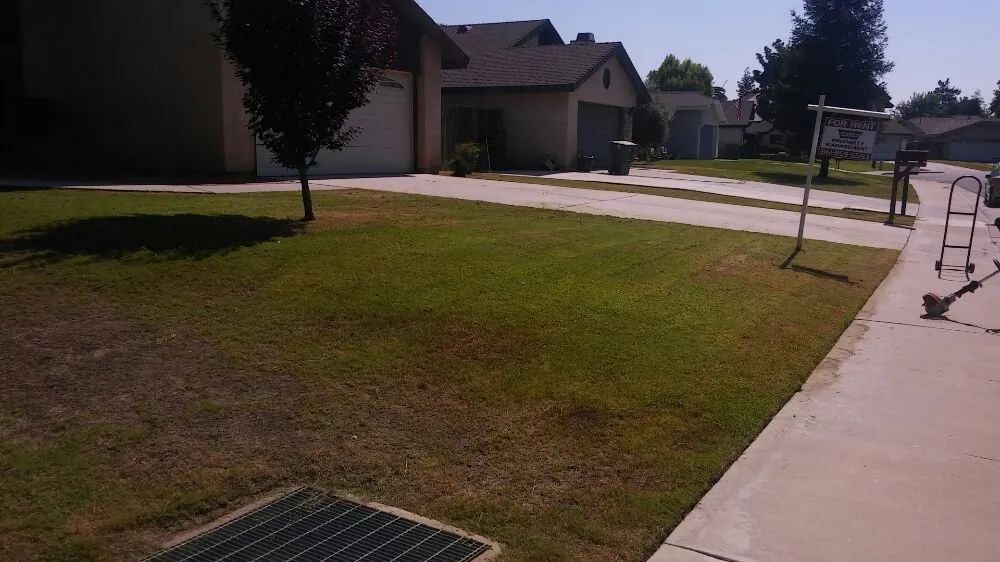 Expert yard cleanup service for residential properties in Bakersfield, CA by Carson's Gardening