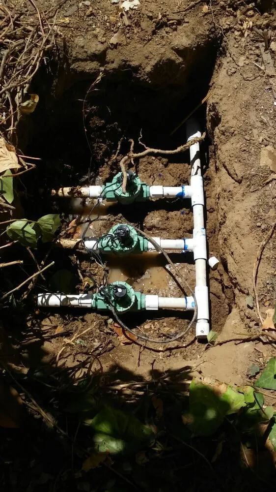 Trusted landscaping services for beautiful yards across Bakersfield, CA - Carson's Gardening