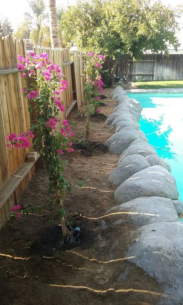 Affordable residential landscaping for year-round maintenance in Bakersfield, CA by Carson's Gardening