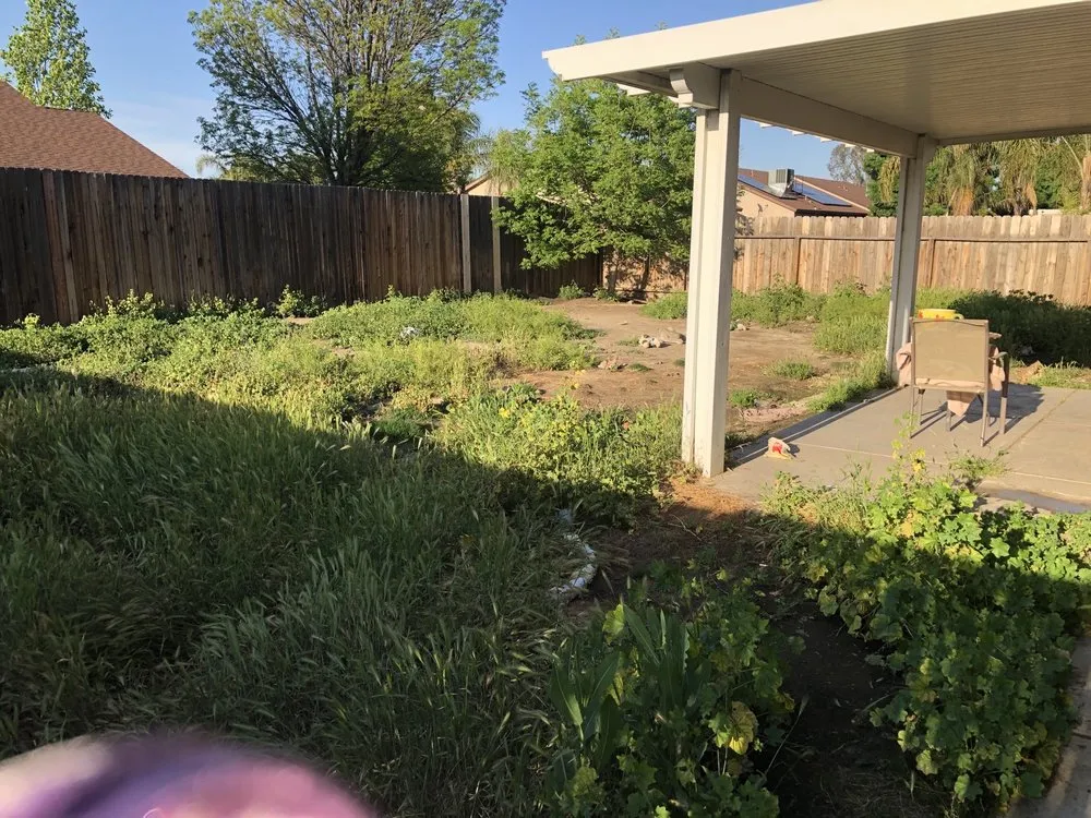 Professional landscape design experts serving Bakersfield, CA - Carson's Gardening