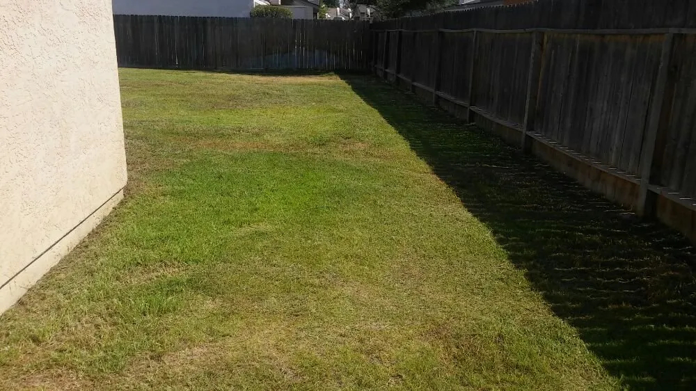 Trusted landscape design in Bakersfield, CA by Carson's Gardening