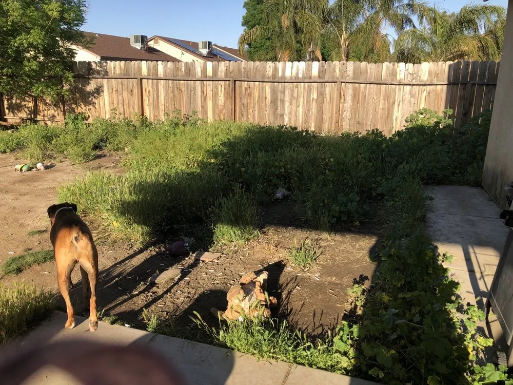 Local outdoor landscaping in Bakersfield, CA by Carson's Gardening