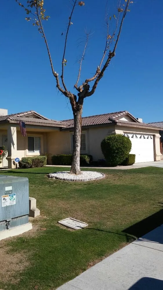 Top-rated landscape installation experts serving Bakersfield, CA - Carson's Gardening