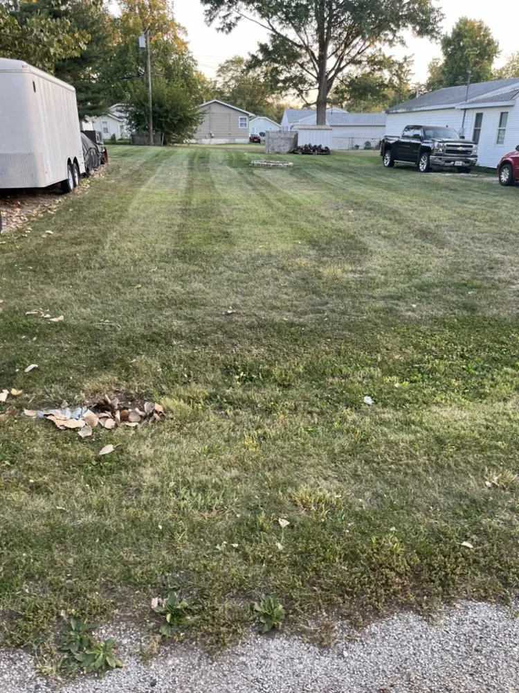 Reliable landscaping services for outdoor upgrades in Decatur, IL by Carson’s Lawn service