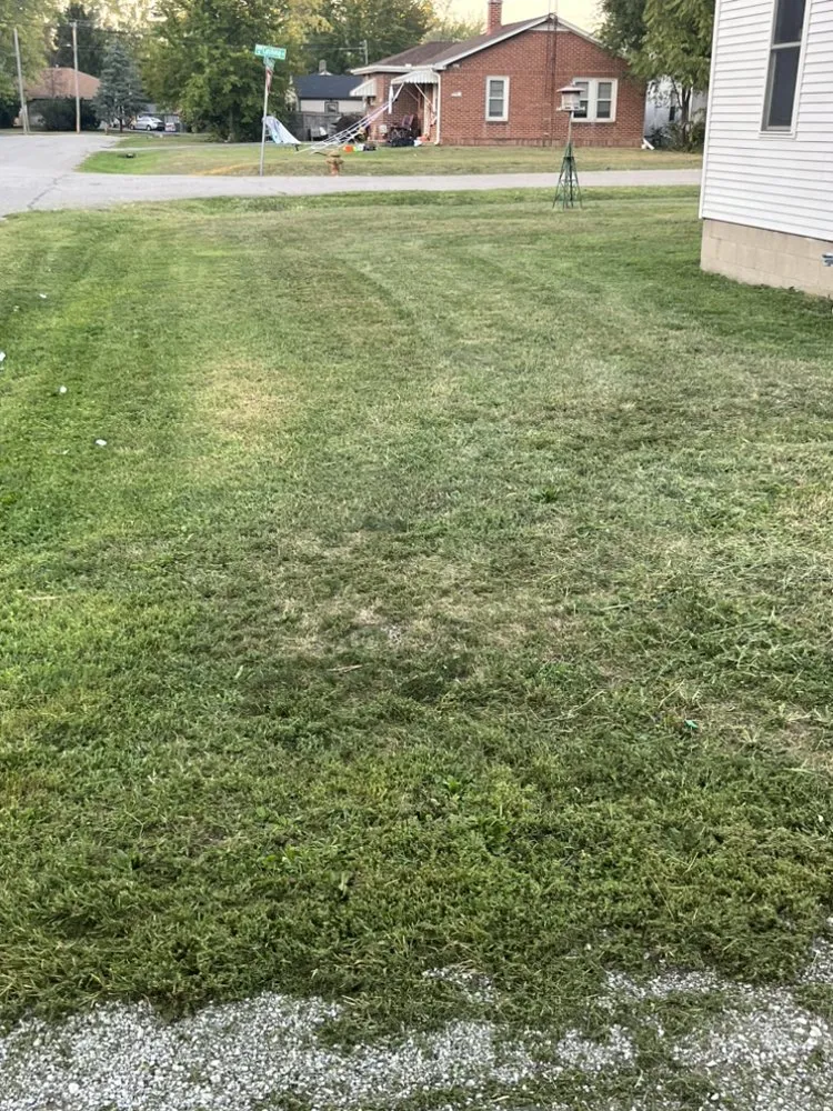 Trusted yard cleanup service for homes in Decatur, IL by Carson’s Lawn service