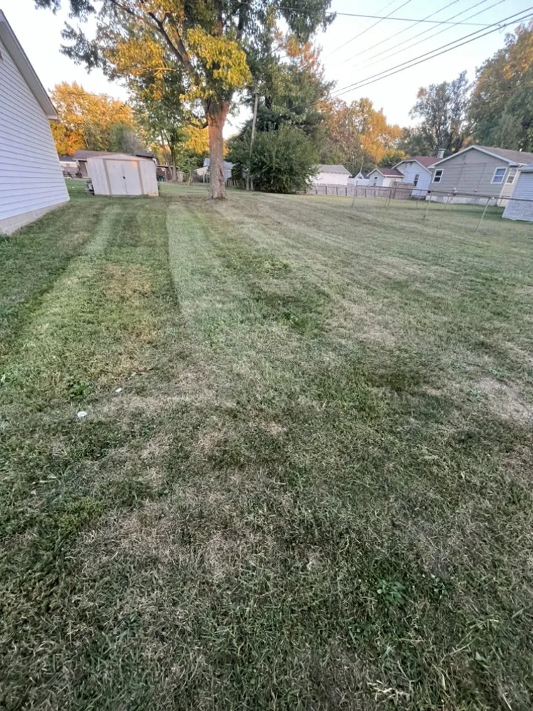 Professional landscaping services near you in Decatur, IL by Carson’s Lawn service