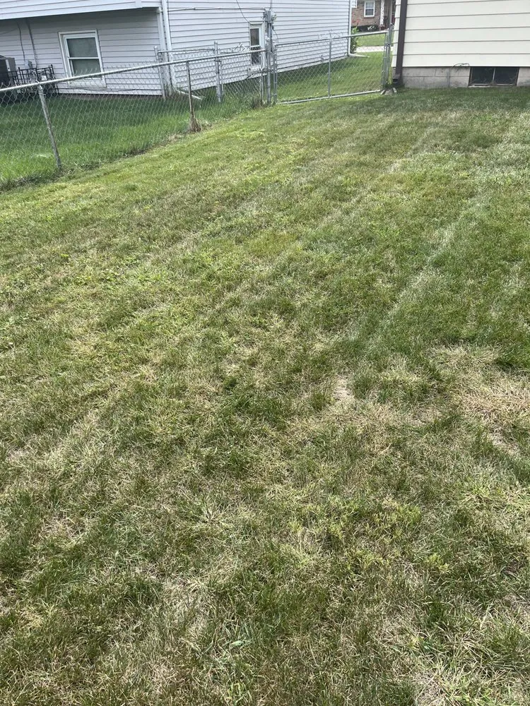 Custom landscape design for residential properties across Decatur, IL - Carson’s Lawn service