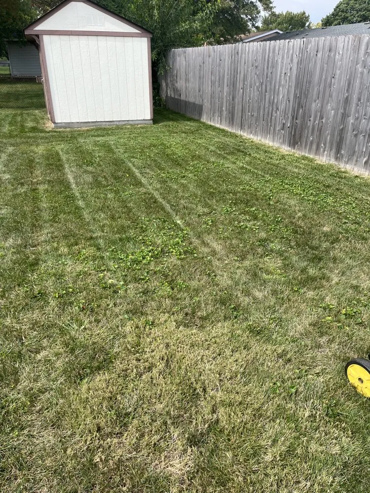 Custom landscape installation for year-round maintenance in Decatur, IL by Carson’s Lawn service