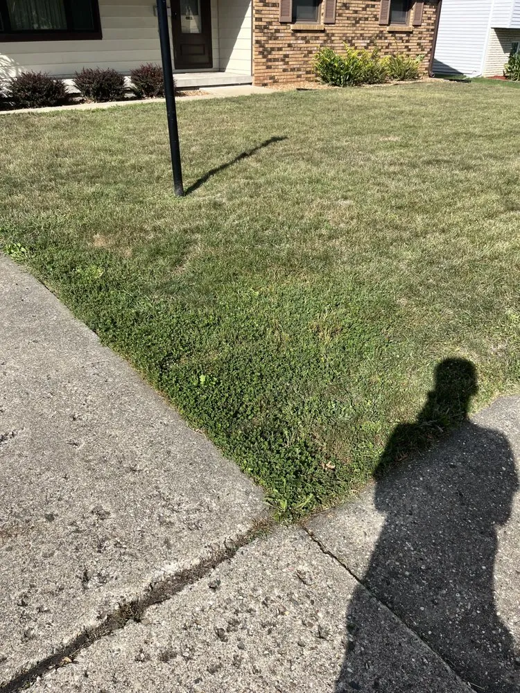 Expert landscaping services in Decatur, IL - Carson’s Lawn service