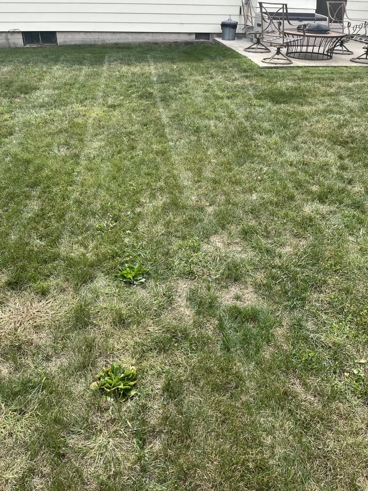 Trusted garden landscaping near you in Decatur, IL by Carson’s Lawn service