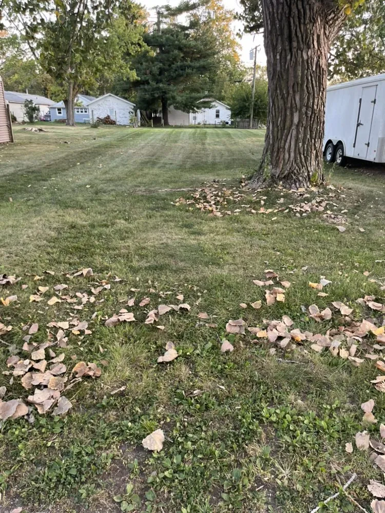 Reliable lawn mowing service experts serving Decatur, IL - Carson’s Lawn service