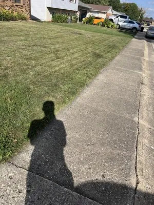 Carson’s Lawn service Logo