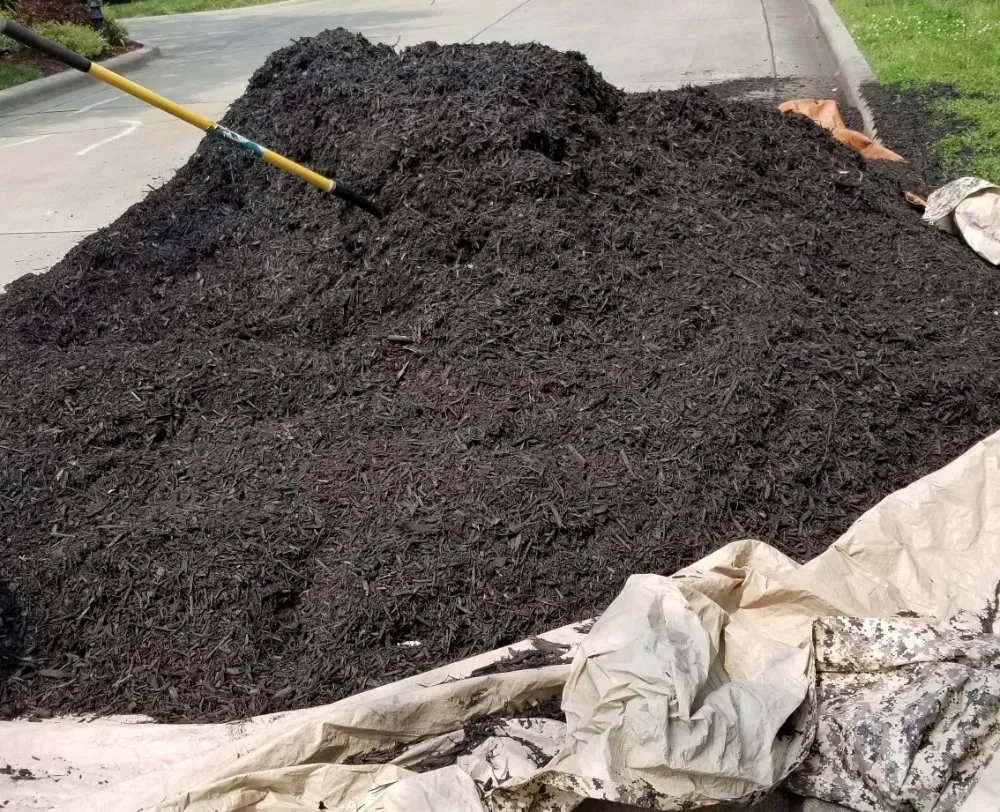 Top-rated residential landscaping experts serving Pittsboro, NC - Carson's Lawn Squad