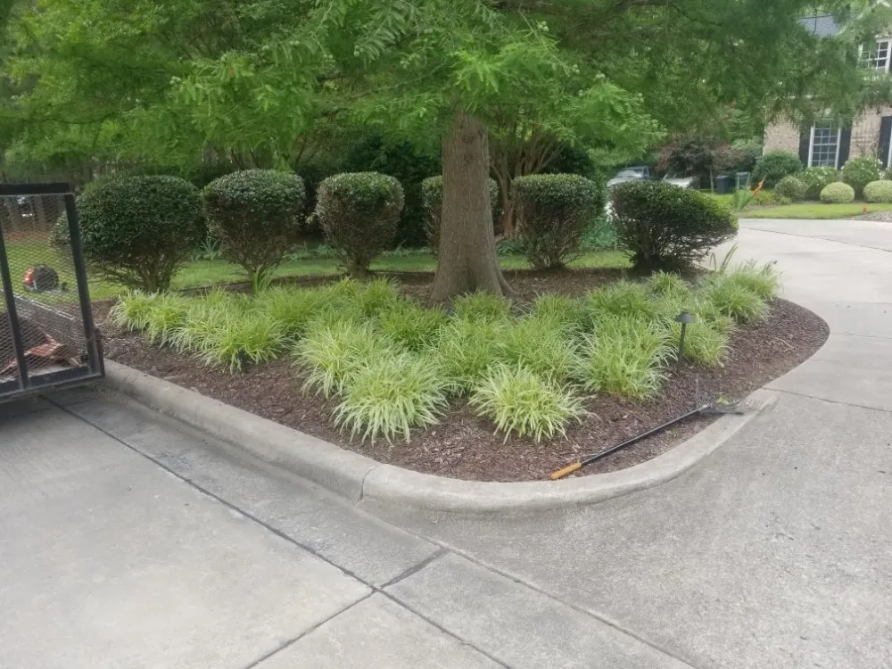 Expert yard maintenance experts serving Pittsboro, NC - Carson's Lawn Squad