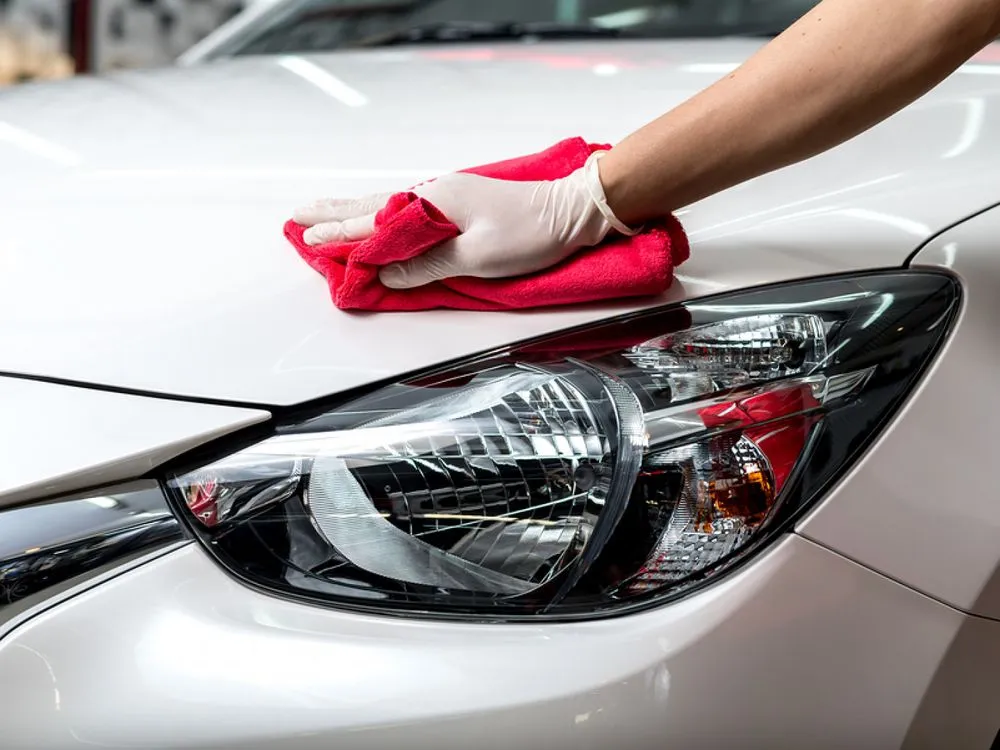 Local landscape design near you in Killeen, TX by Cartels Drip & Dry