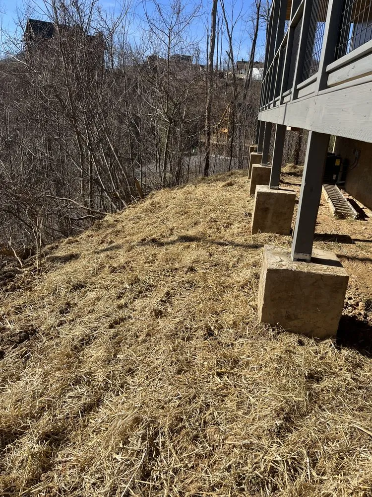 Trusted landscape installation near you across Greeneville, TN - Carter and Sons