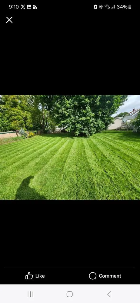 Custom yard maintenance near you in Lansing, MI by Carter and Sons Lawn Care