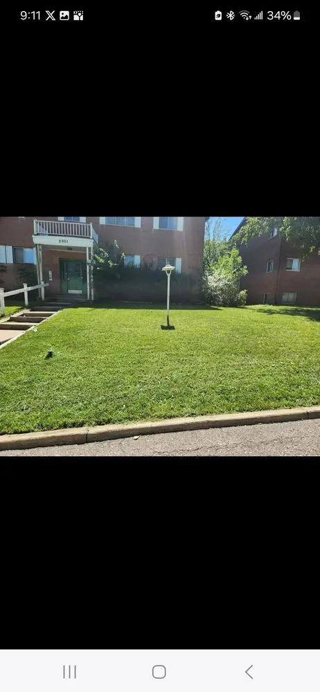 Reliable yard cleanup service for beautiful yards across Lansing, MI - Carter and Sons Lawn Care