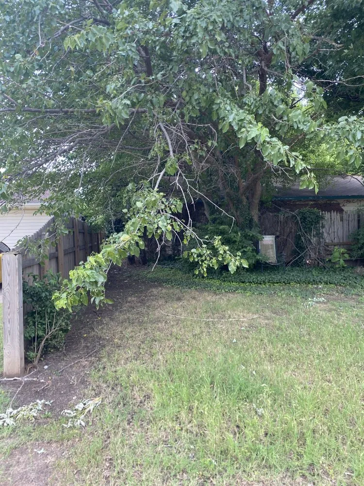Affordable landscaping services in Douglas, OK - Carter Bros Lawn