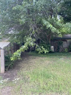 Carter Bros Lawn