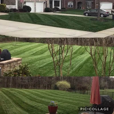 Carter Brothers Lawn & Landscape Logo