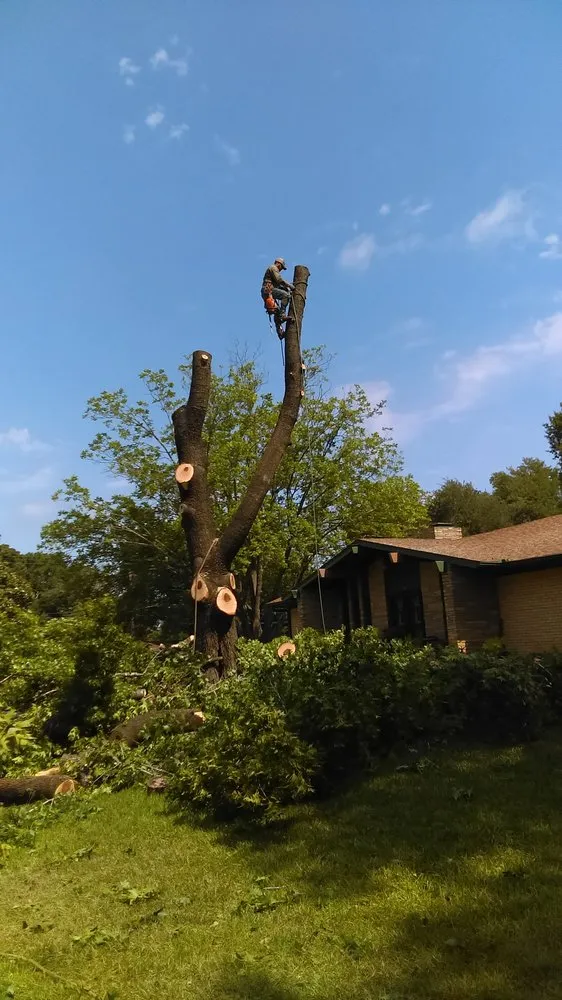 Professional residential landscaping with custom design in Athens, TX by Carter Cleanouts