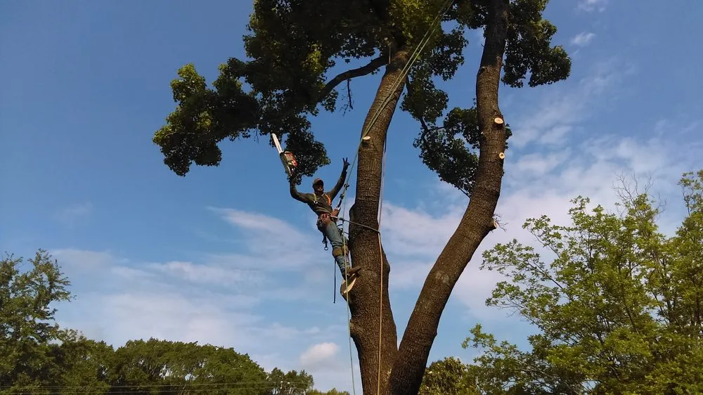 Trusted outdoor landscaping experts serving Athens, TX - Carter Cleanouts