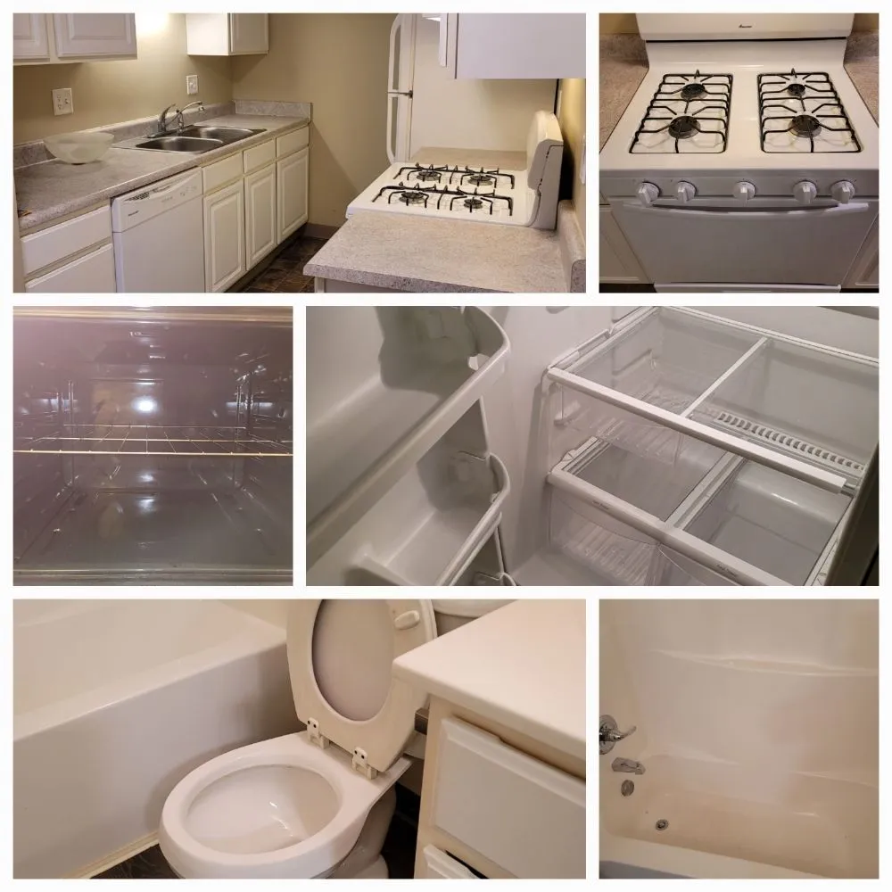 Top-rated lawn care service experts serving Grand Rapids, MI - Carter Cleanup