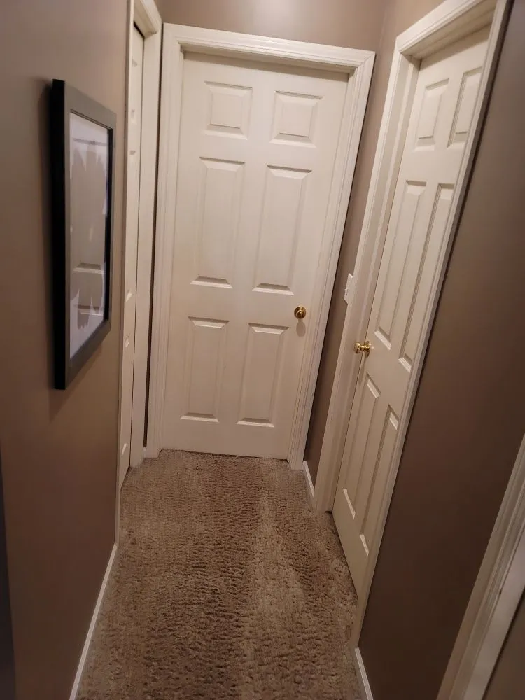 Affordable yard cleanup service experts serving Grand Rapids, MI - Carter Cleanup