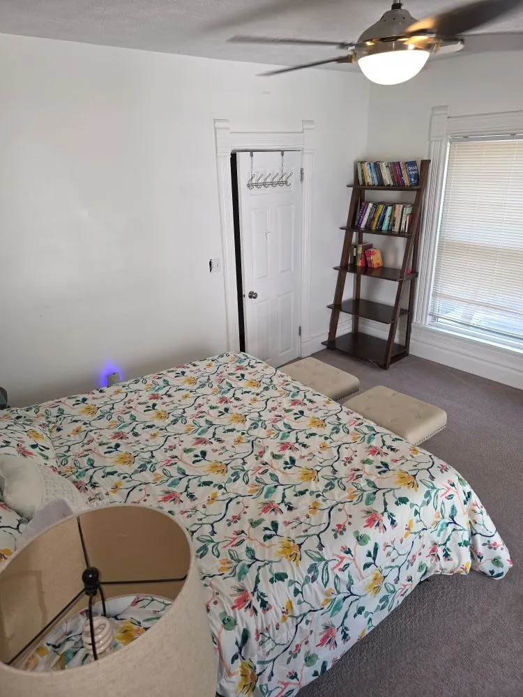 Affordable lawn care service in Grand Rapids, MI - Carter Cleanup